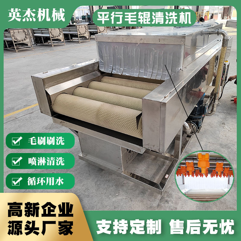 商用全自动果蔬平行毛辊清洗机 大枣山楂高压喷淋毛辊清洗线