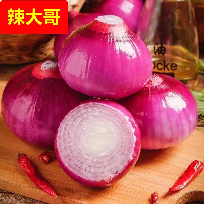 现摘水果洋葱紫皮圆葱新鲜蔬菜农家甜味生吃红洋葱水果包邮