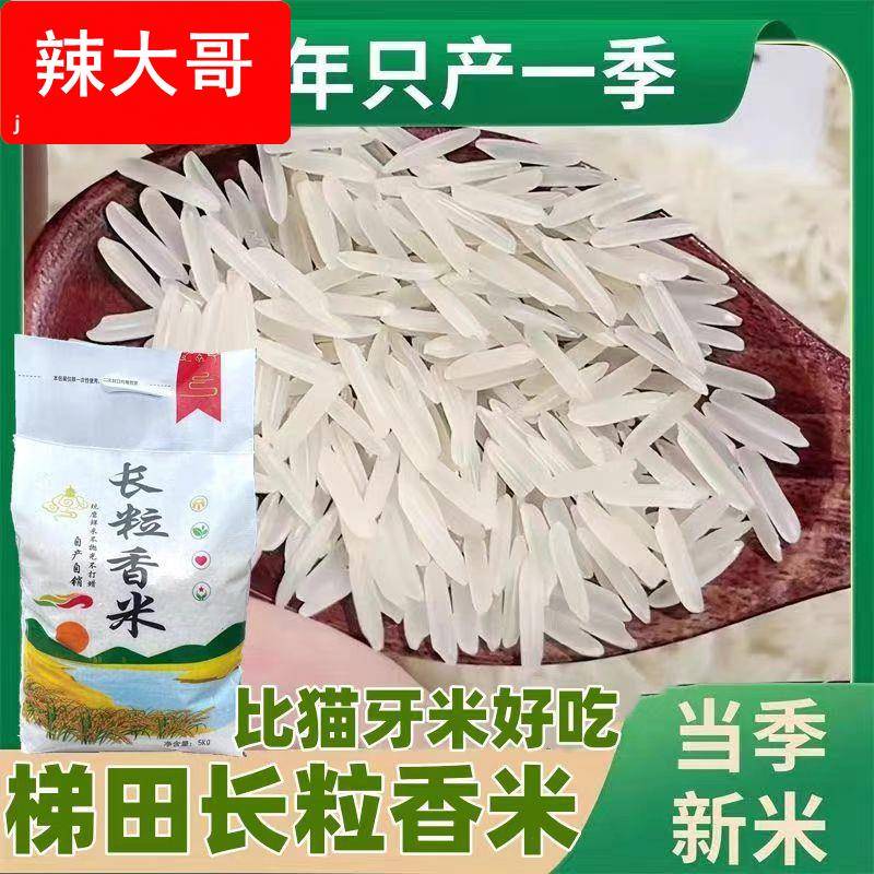 新米贵州梯田长粒香米晚稻农家米自种软米长粒香米细粒长米10斤