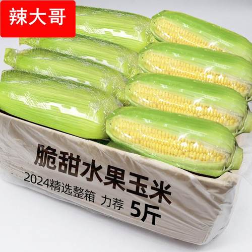 水果玉米新鲜爆浆脆甜玉米8斤生吃嫩苞谷即食香甜糯玉米棒子蔬菜
