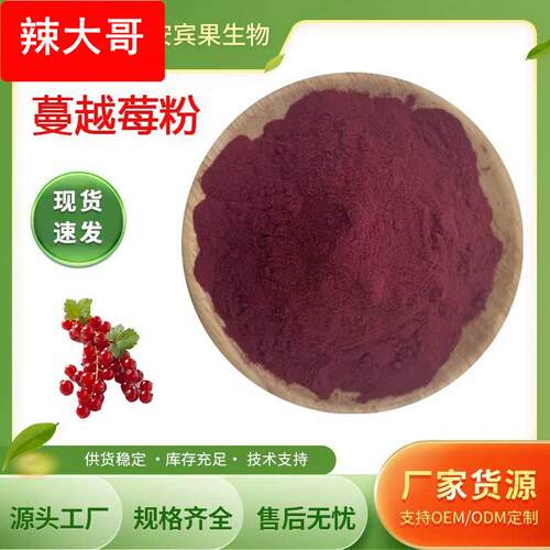 蔓越莓汁粉 固体饮料蔓越莓果汁粉 100g/袋 现货 量大价优