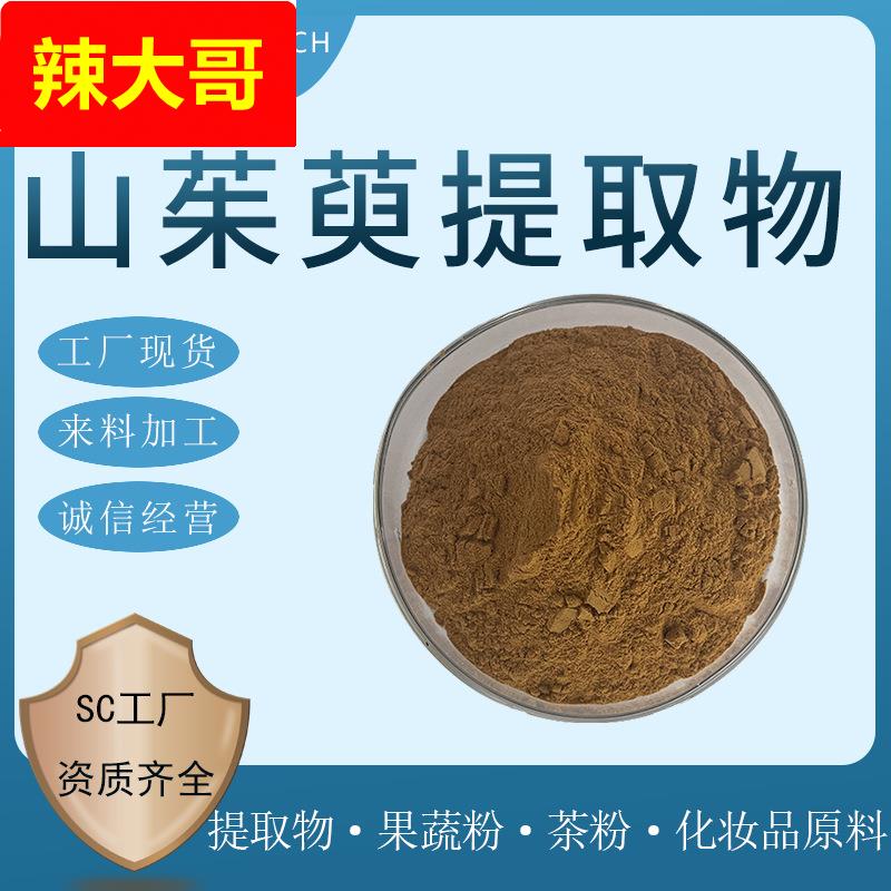 山茱萸提取物 水提 山茱萸粉 喷干粉 山茱萸萃取 茱萸碱 现货