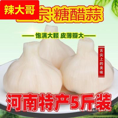 糖醋蒜子糖蒜新蒜鲜甜蒜腌大蒜头咸菜泡菜下饭菜早餐商用斤搂勋