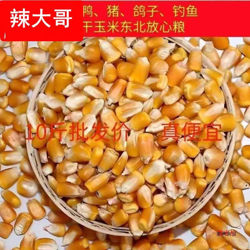 10斤包邮新货农家老式干玉米粒杂粮钓鱼打窝喂鸡鸭鹅鸽子黄玉米粒