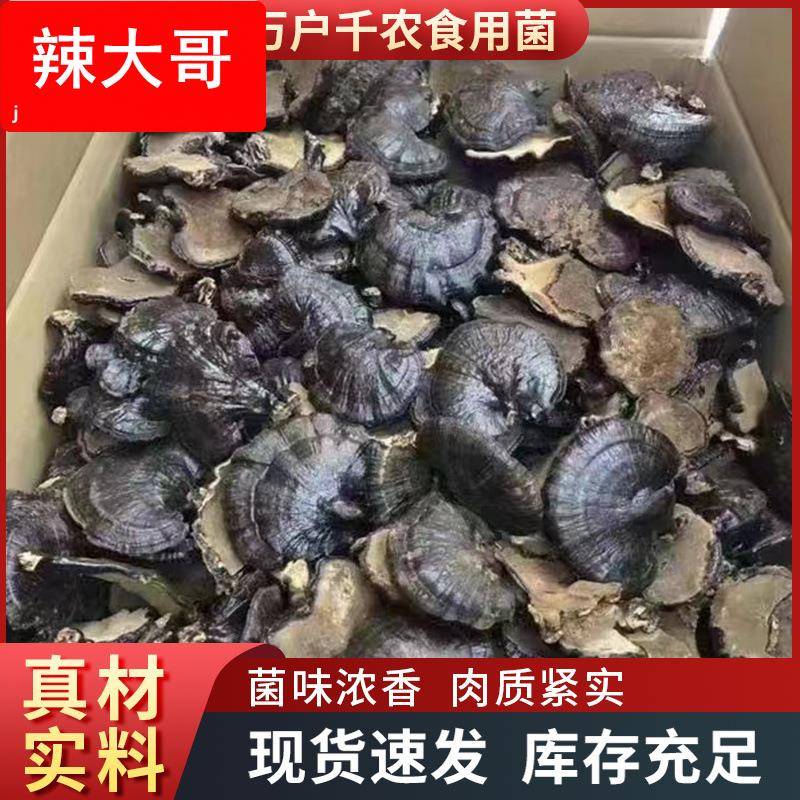 黑灵芝山东可切片打粉整朵煲汤酒店送礼干货现货