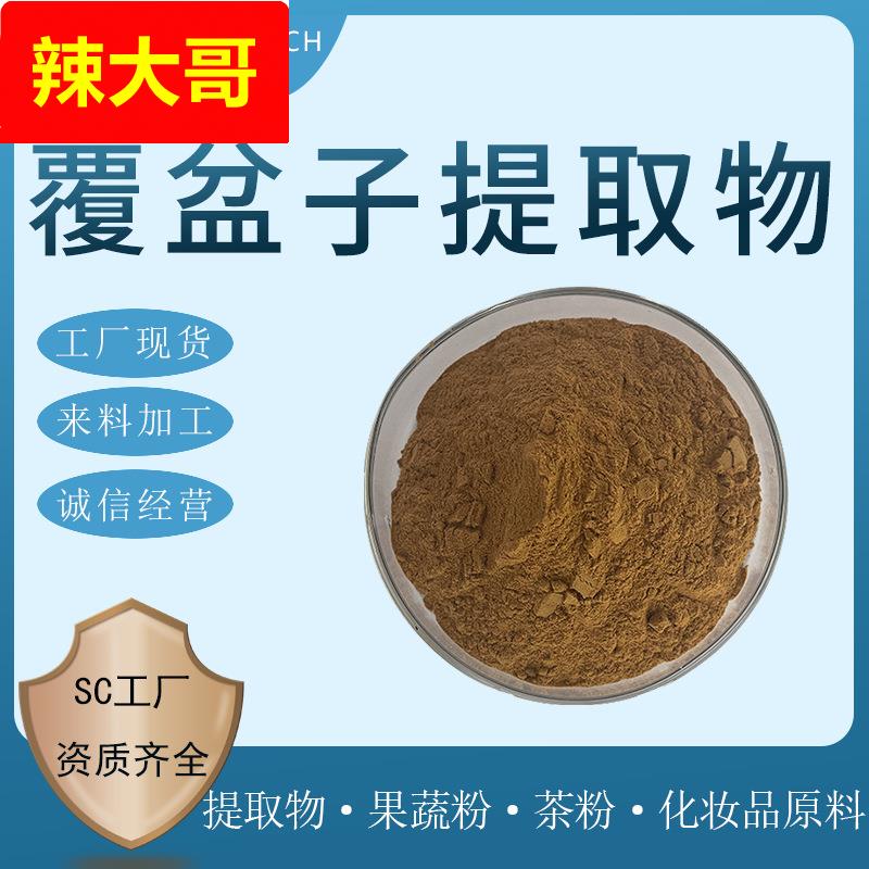 覆盆子提取物 10:1 30:1 覆盆子水溶粉 覆盆子粉 覆盆子酮 现货