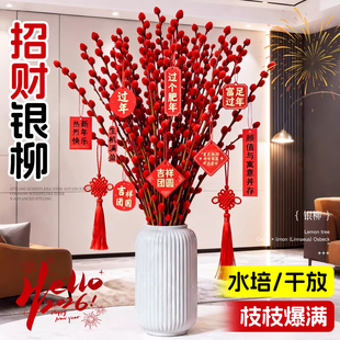 大银柳真花鲜枝可水培可干花新年年宵花室内客厅装饰摆件春节绿植