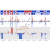 遗传学Chlp seq1对1辅导零基础到精通生信分析服务