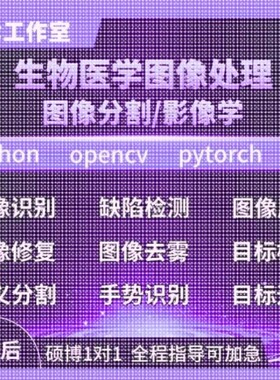Python代码医学图像分割视觉深度学习语义分割检测图像分类帮做