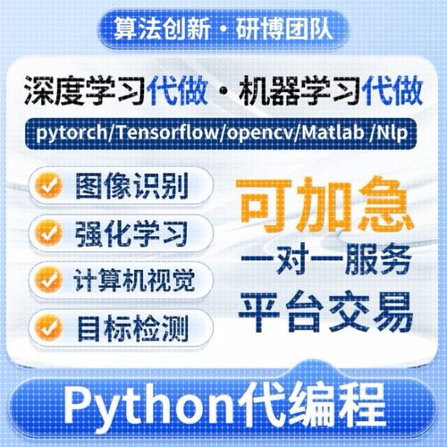 深度机器学习强化python代做程序医学图像处理代编写神经网络调试