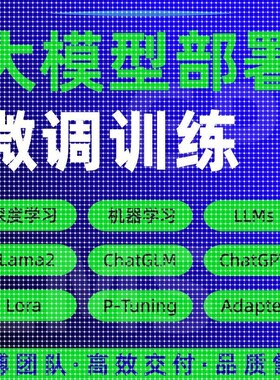python代编程大模型微调训练Llama2环境配置代码代跑深度学习指导