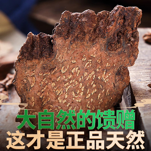 锁阳中药材锁阳干片正品泡茶泡酒料男可打粉另售肉苁蓉淫羊藿