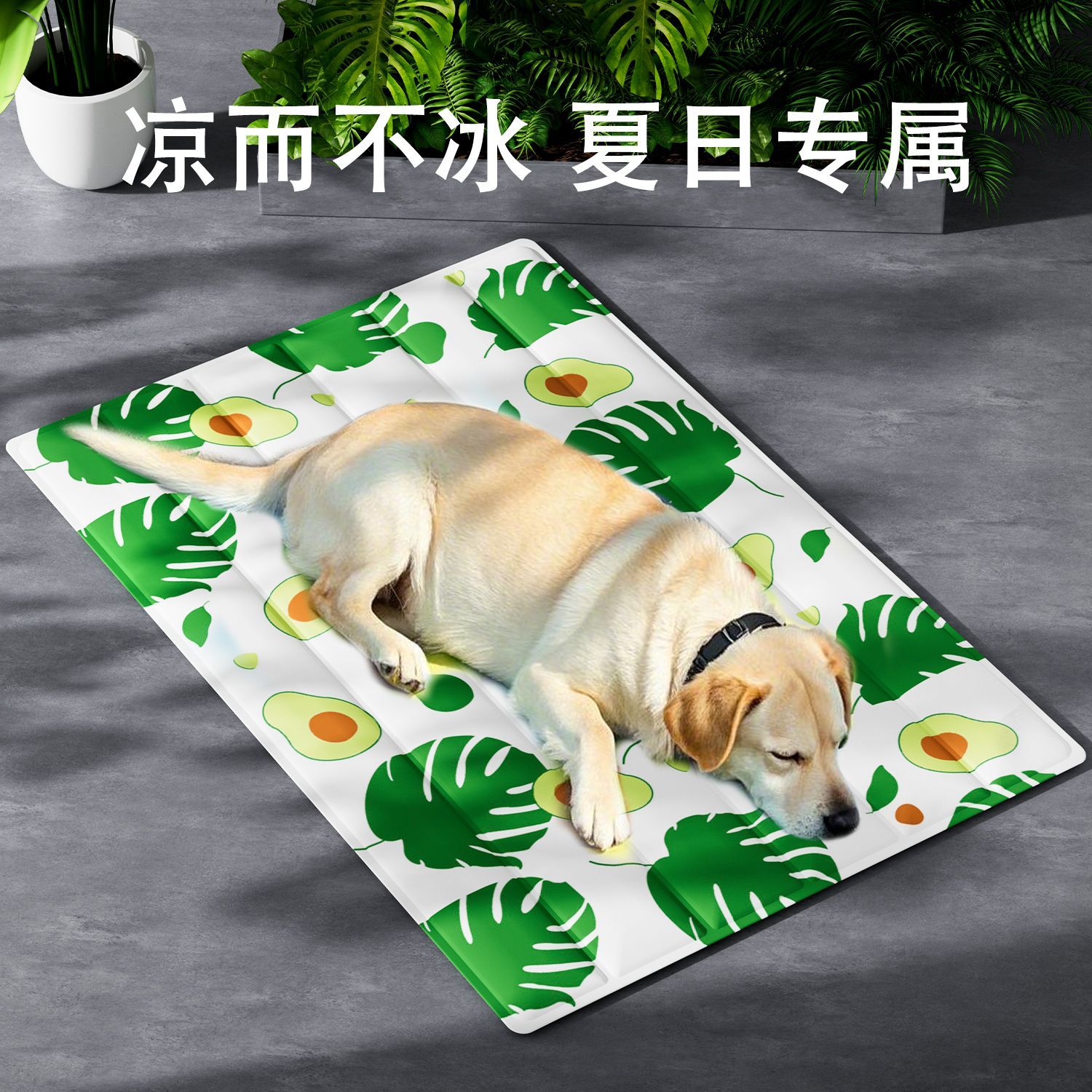 宠物冰垫夏季冰窝猫窝猫垫子睡觉用降温凉席凉垫狗狗睡垫猫咪用品