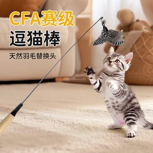 猫玩具CFA赛级逗猫棒幼猫斑点羽毛替换头耐咬猫用品猫咪玩具大全