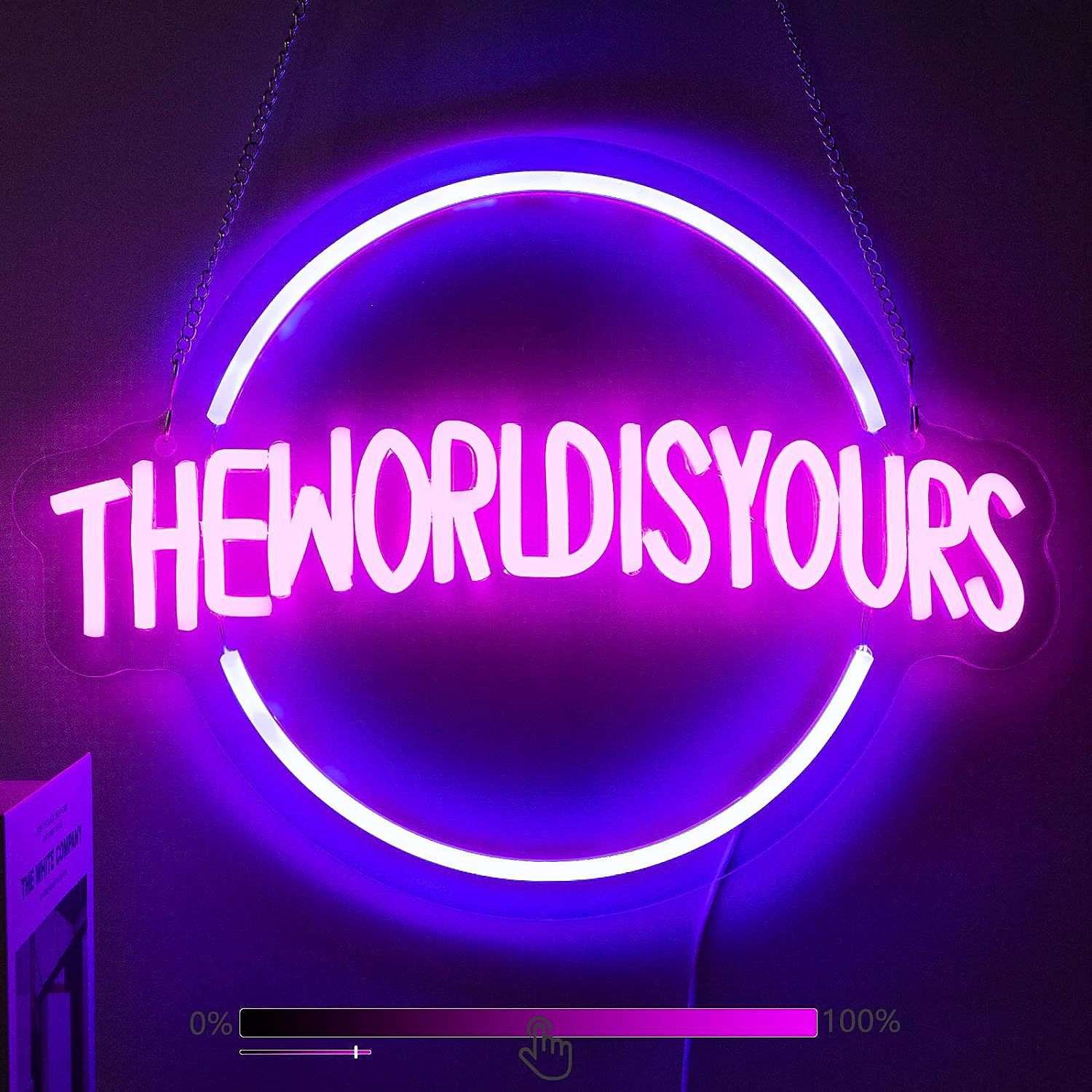 The World Is Yours霓虹灯标志家庭墙壁装饰灯造型灯可调光霓虹灯