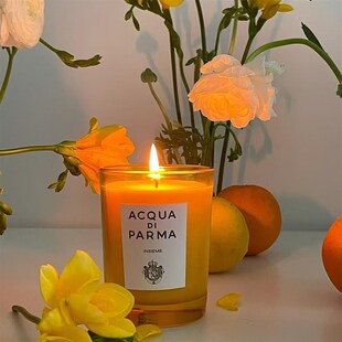 帕尔玛之水香薰蜡烛帕尔马香薰早安湖边小屋爱克罗尼亚之光200g