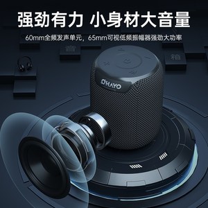 雷登X2 蓝牙音箱高音质重低音炮无线家用户外车载便携防水小音响