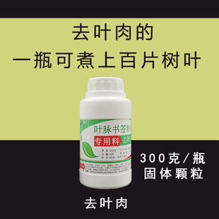 叶脉上浆用叶脉浆去叶肉书签制作液DIY材料树叶制作学生实验用