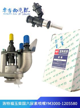 适用于国流尿素泵喷嘴总成，喷嘴芯Ym3000- 1205580