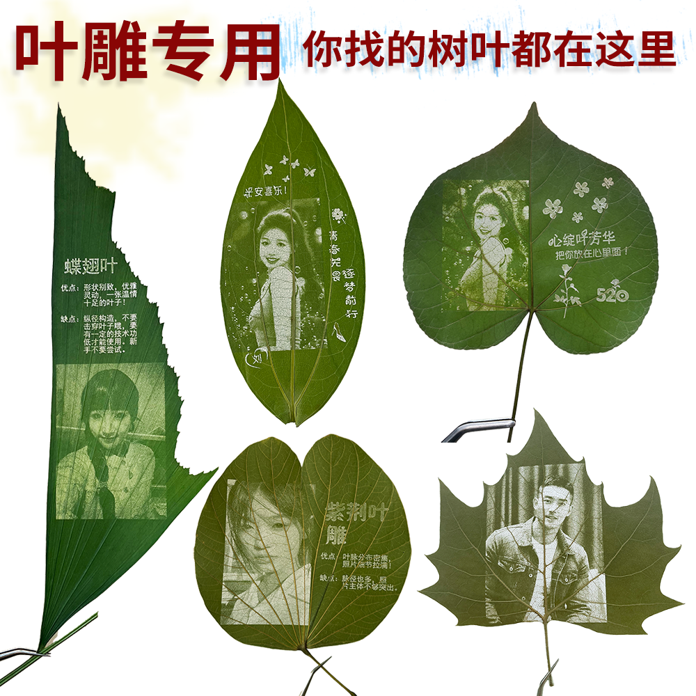 葉雕產品專業供應商家