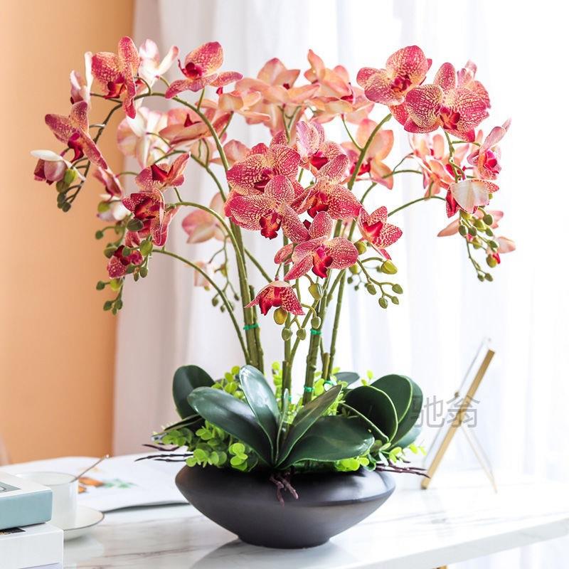 麓r手感蝴蝶兰仿真花高档套装客厅前台假花摆件插花装饰花艺盆栽