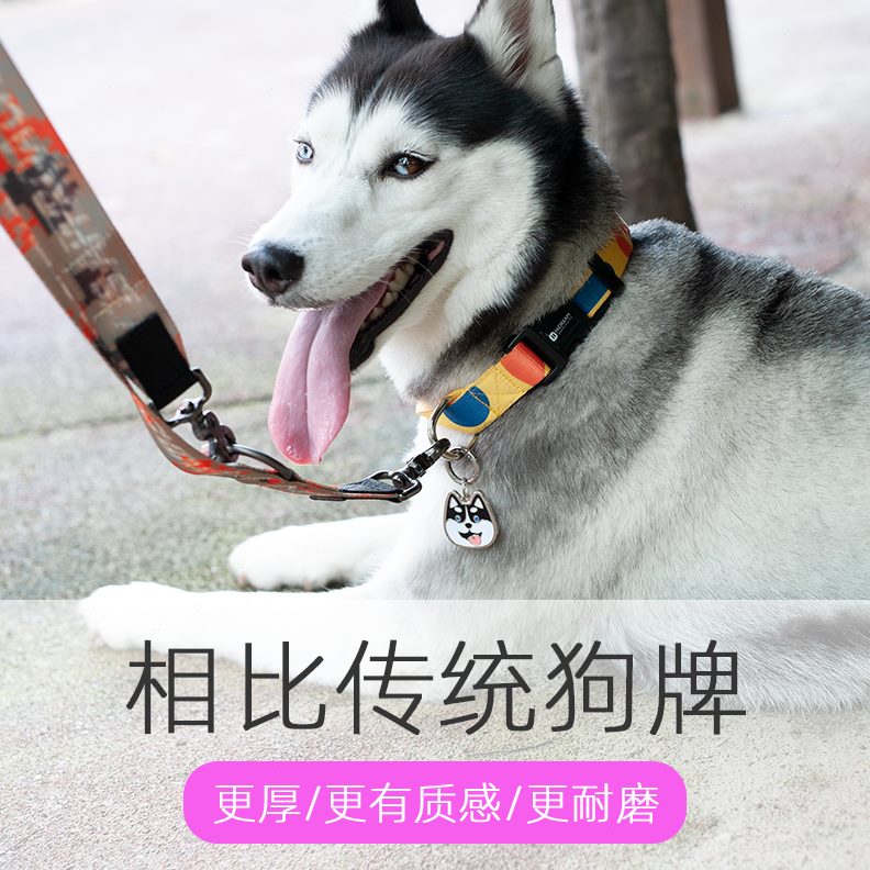 刻字猫牌项圈car宠物牌of 铭牌定制W身份QZ防丢o吊坠d激光ee狗牌