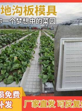 泥ll水菜地沟模具菜园围栏新农村庭院田花园园铺路塑90948料模板