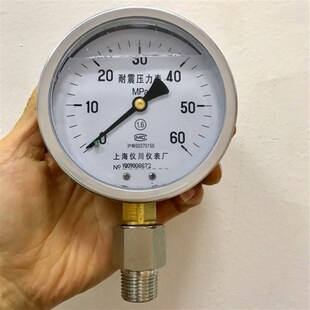 耐震压力表 0-60mpa 直径100mm 前面107 后面99mm 配转接头G1/2