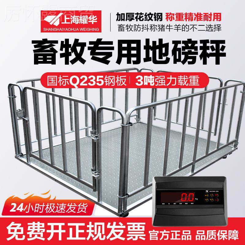 海秤耀华上加厚电子地磅秤3吨厂HCD物流电子秤小型称猪牛工带围栏