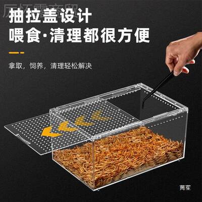螂面包虫专业饲养箱亚大麦黄粉虫比亚蟑蟋蟀饲杜料克力养XGP殖盒