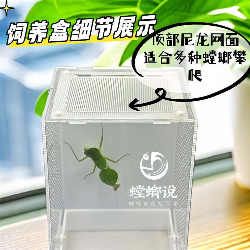 鸣虫生态饲养盒造景别墅鸣虫盒昆虫盒跳蛛蝈蝈螳螂饲养盒螳螂说