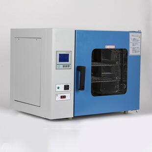 9013A电热恒温鼓风干燥箱工业小烘箱实验室中药材烘干箱烤箱 DHG