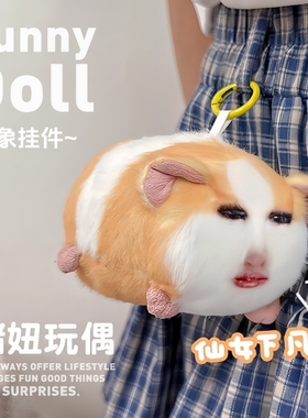 仙女下凡荷兰猪表情包猪妞玩偶挂件毛绒玩具录音发声公仔生日礼物
