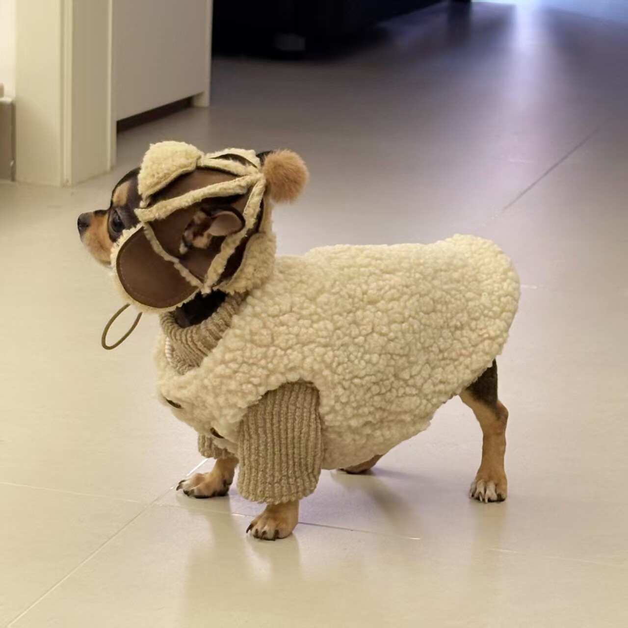 狗狗衣服秋冬季羊羔毛宠物吉娃娃小型犬比熊泰迪无毛猫咪保暖马甲