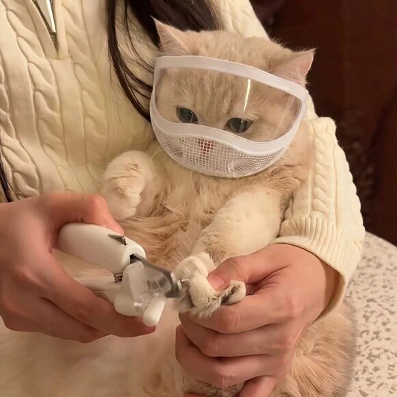 猫咪头套绝育防咬防舔神器剪指甲
