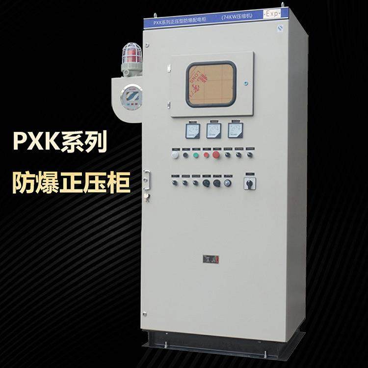 PXK防爆正压柜 防爆正压控制柜 防爆正压配电柜 防爆正压电控柜