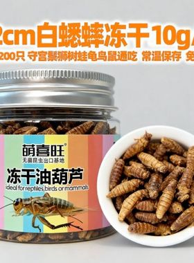 白蟋蟀冻干爬宠粮饲料鬃狮睫角守宫乌龟角姥爷树蛙绣眼鸟八哥粮食