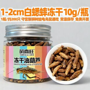 白蟋蟀冻干爬宠粮饲料鬃狮睫角守宫乌龟角姥爷树蛙绣眼鸟八哥粮食