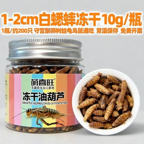 白蟋蟀冻干爬宠粮饲料守宫