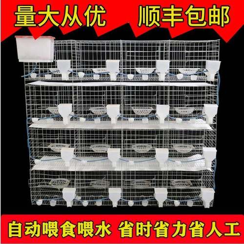 鸽子笼NCO家殖用用品2位养殖专用信鸽配对肉鸽繁鸽笼养1殖笼笼子