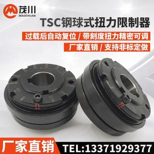 j8SK6扭矩电机过载123钢球4扭式 AYUF保护Q器P离合器0力限制器5g3