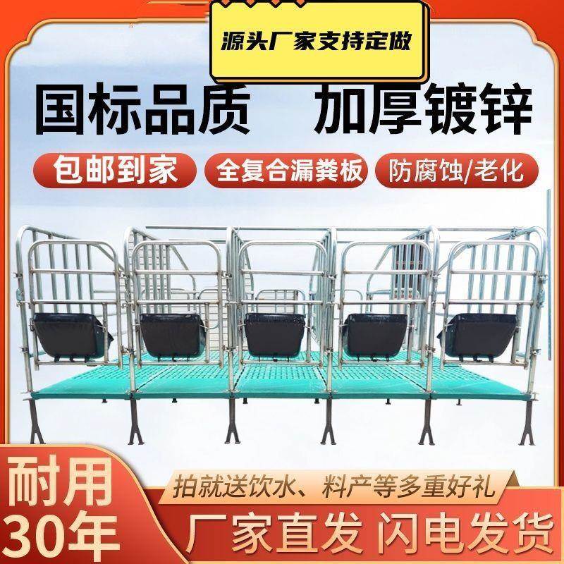 母猪面猪地DXY用限栏养猪场设备加厚面围栏猪圈漏粪板设位备其地