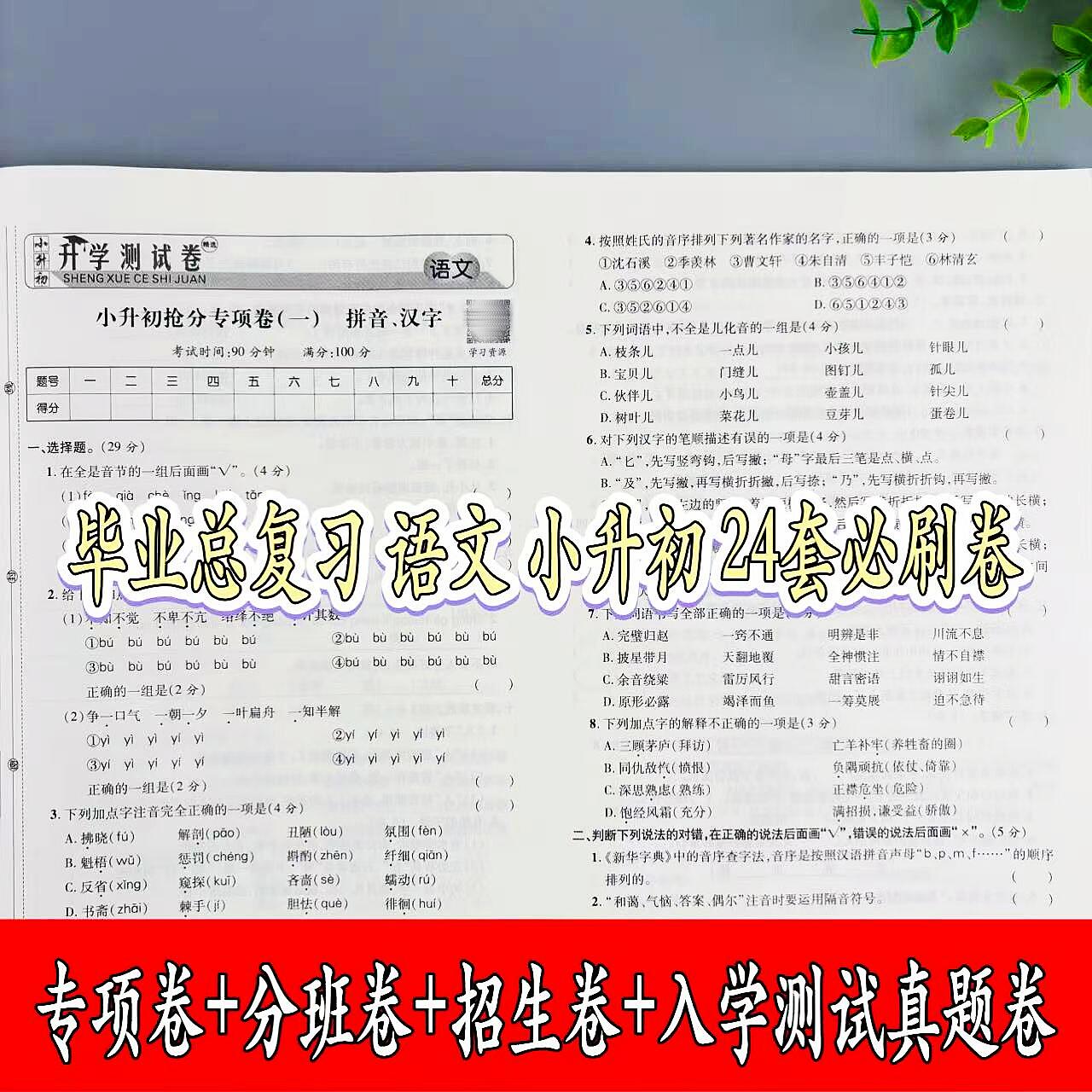六年级语文毕业总复习试卷