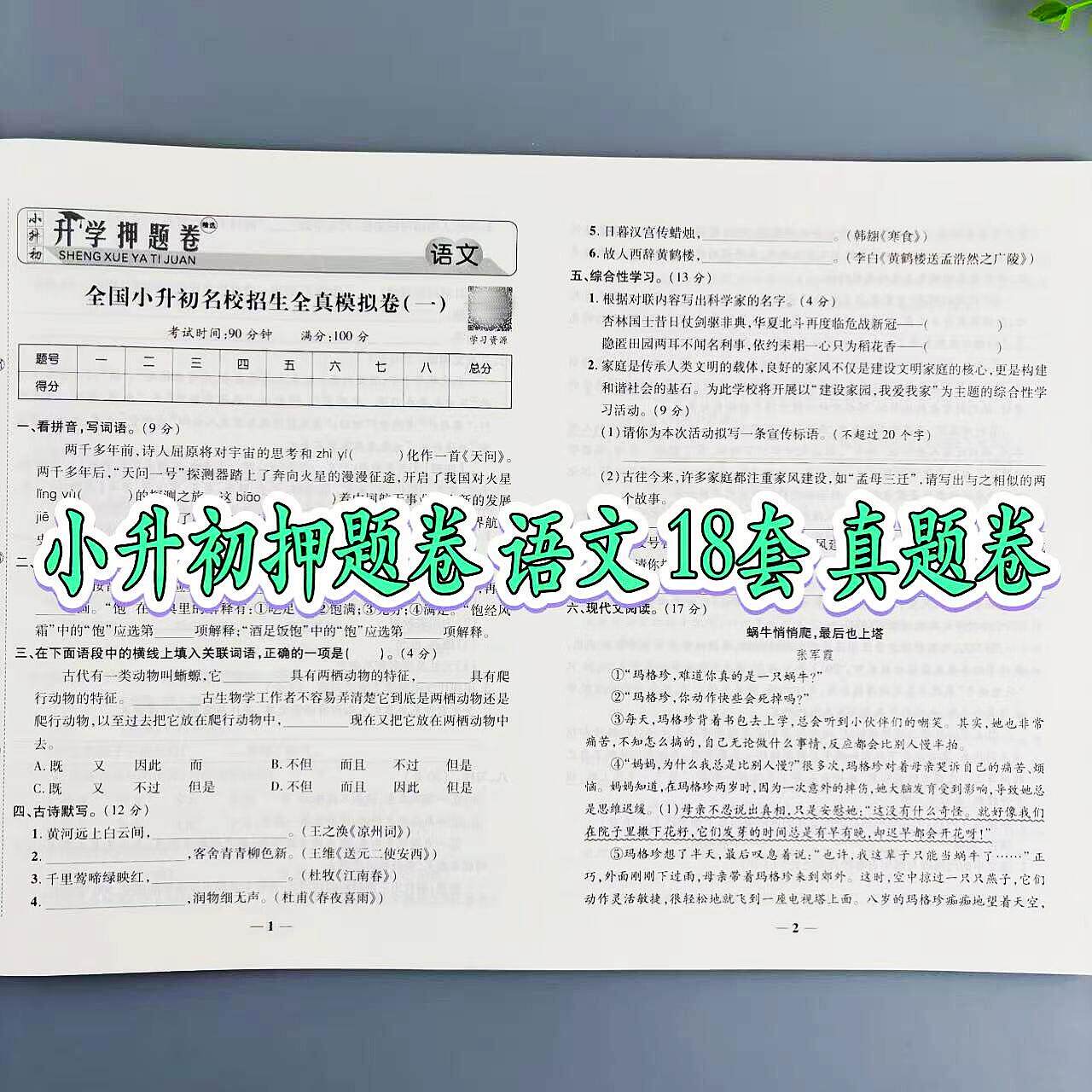 小升初试卷六年级语文押题卷