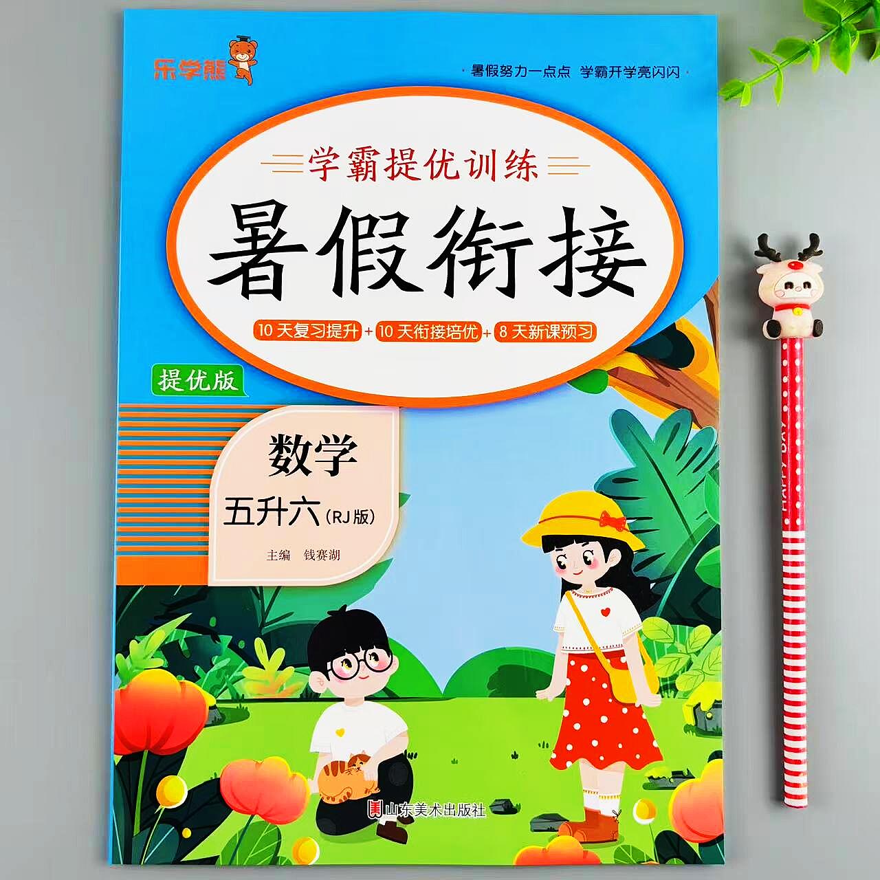 暑假作业五升六年级数学