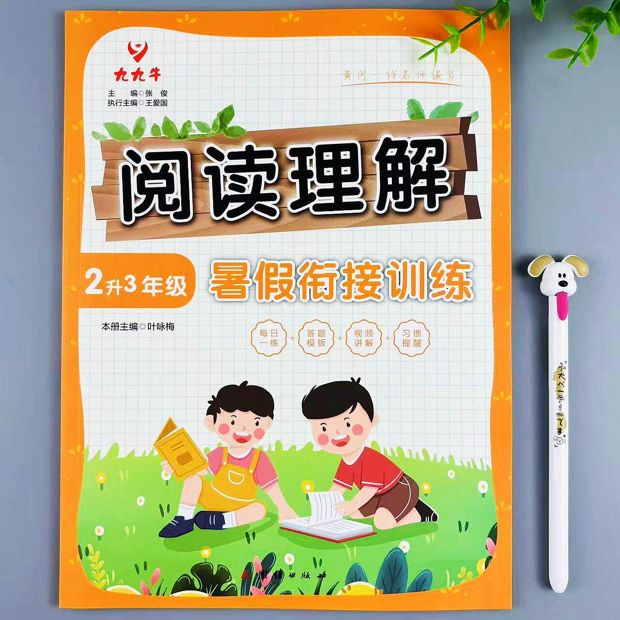 暑假阅读理解二升三年级暑假衔接训练复习预习阅读练习题暑假作业