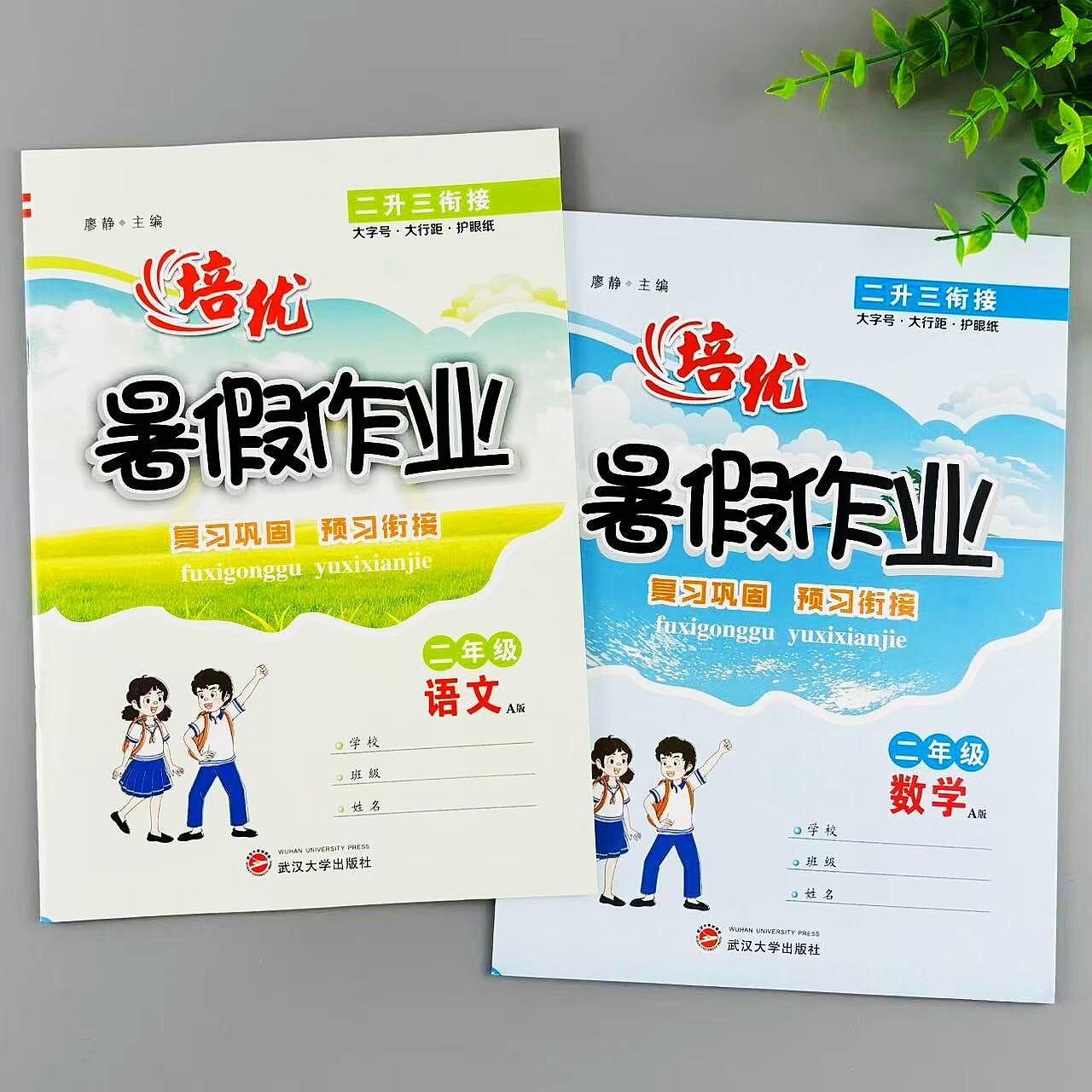 暑假作业二年级语文数学全套练习