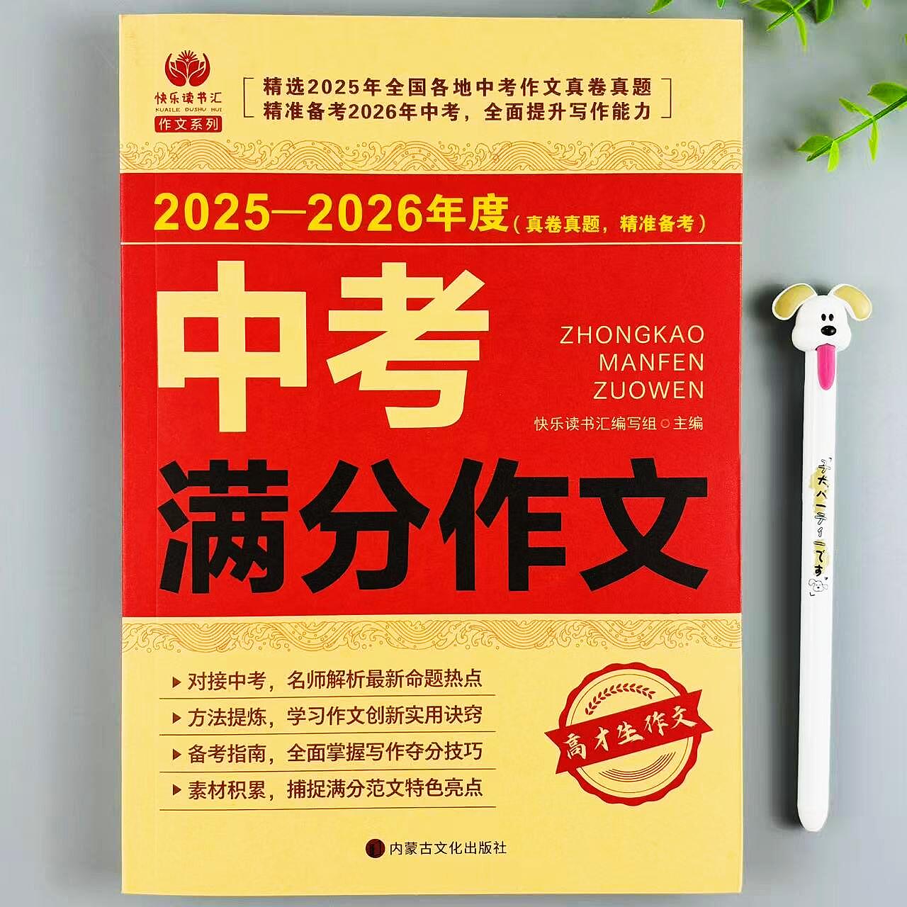 中考满分作文2025到2026年度
