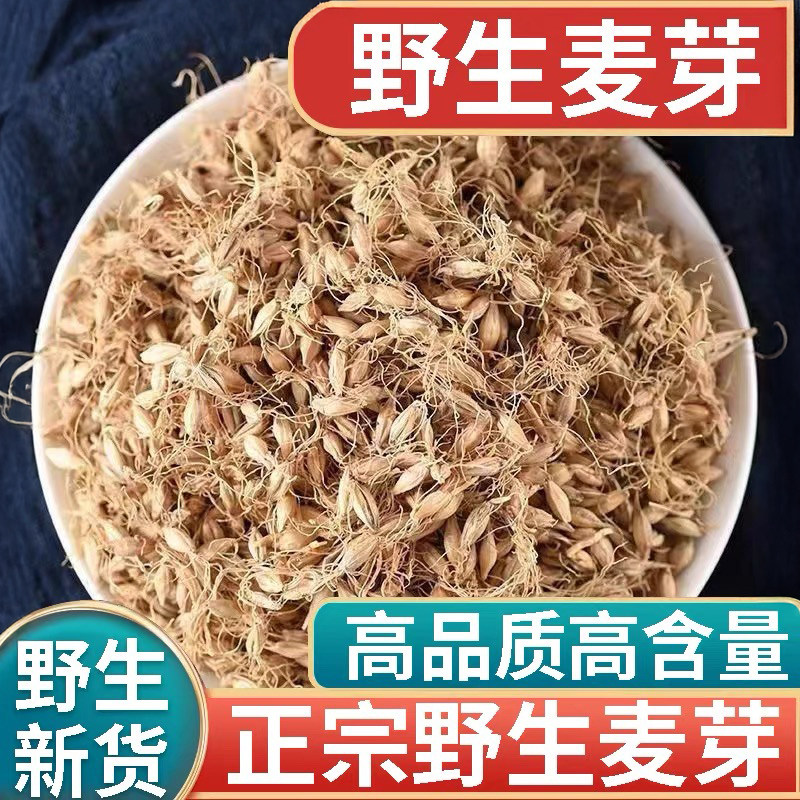 正品野生麦芽新货中药材500g正宗生麦芽茶麦芽可搭独脚金山楂谷芽