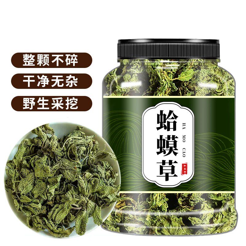 蛤蟆草茶新鲜蛤蟆草中药材旗舰店荔枝草雪见草蛤蟆草的功效泡水喝